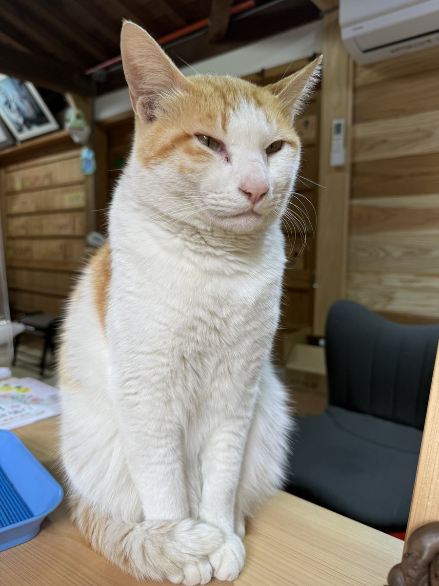 橘⚡️💎4·18沖縄KNOCK OUT tweet media