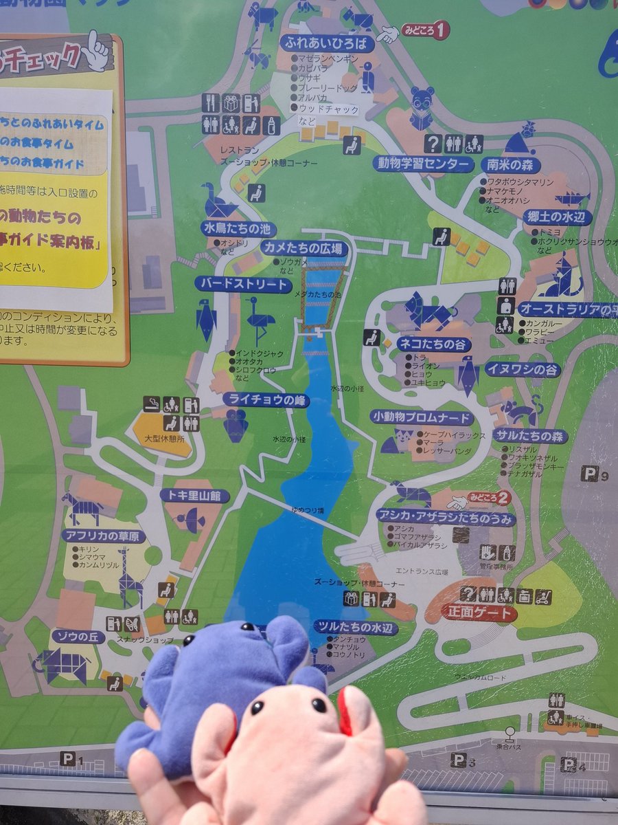 月待🐬Tsukimachi tweet media