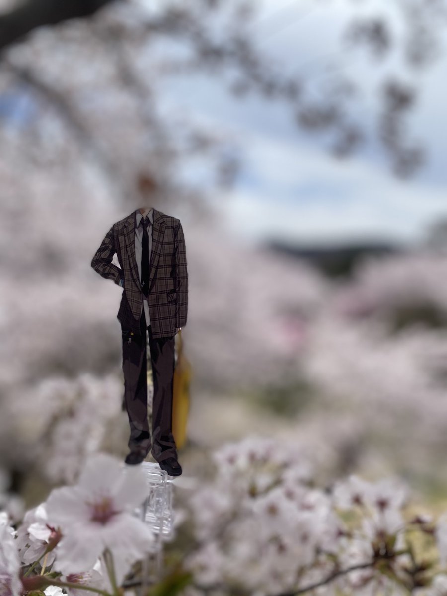 ✦︎ そねƷ ⚡︎ tweet media