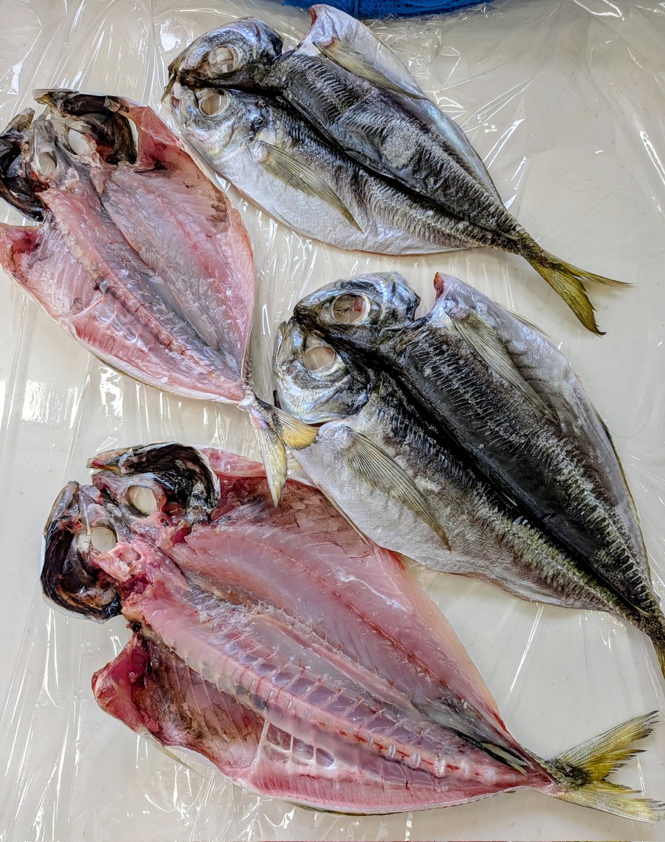 のぶゾー tweet media