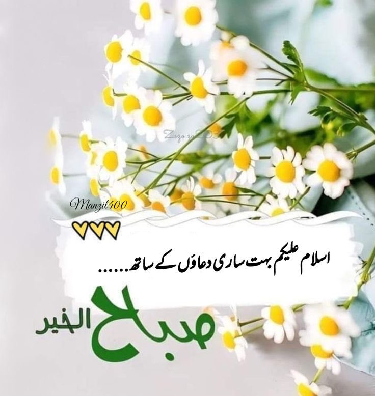 Shahzad Iqbal tweet media