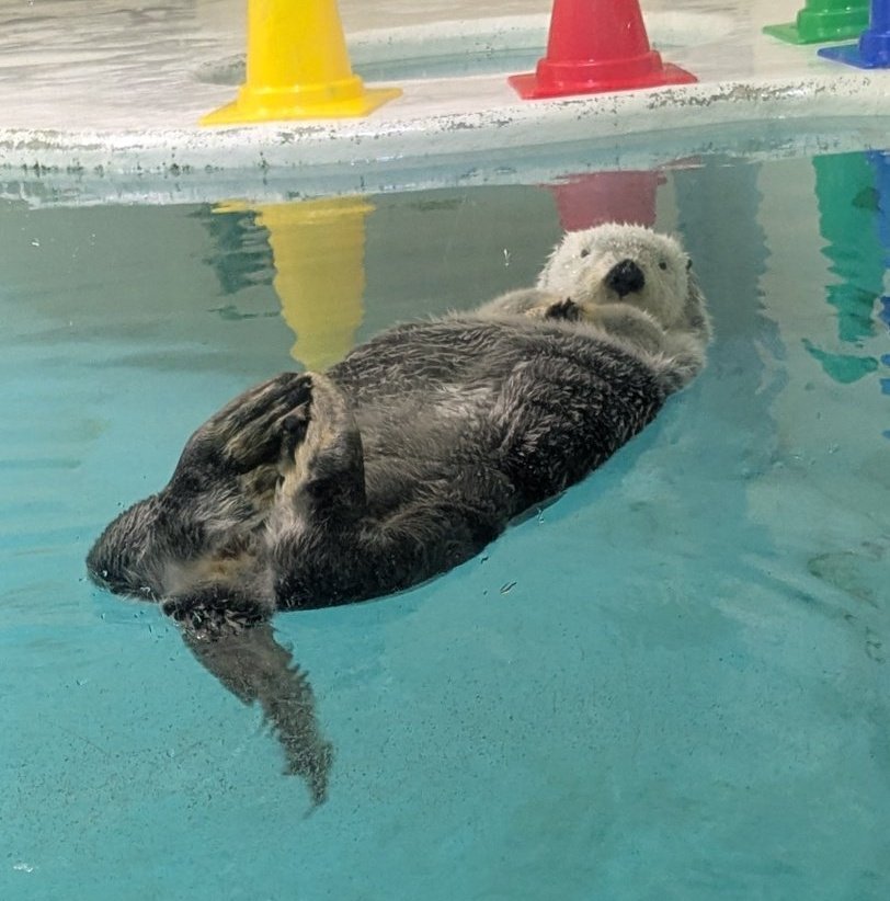 しもん❕ tweet media