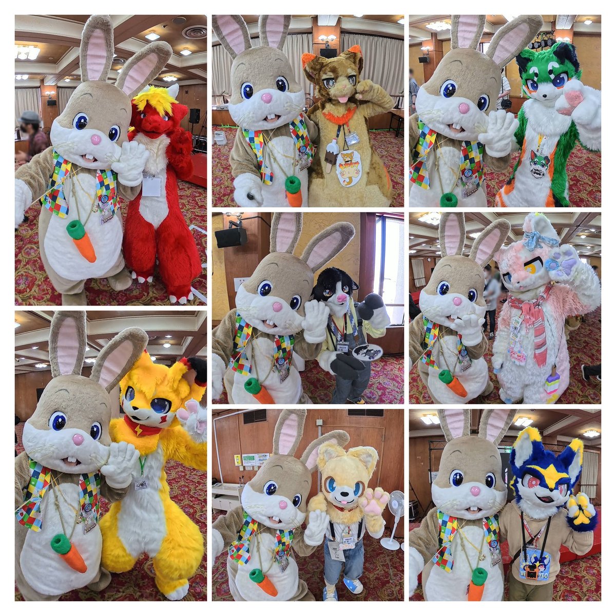 どんちゃん tweet media