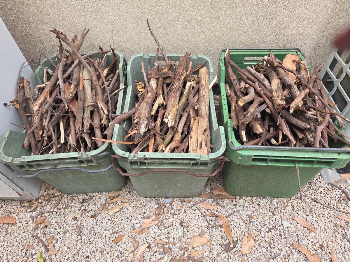 Must be fire season.
Kindling is in.
All donated falling out of the trees.