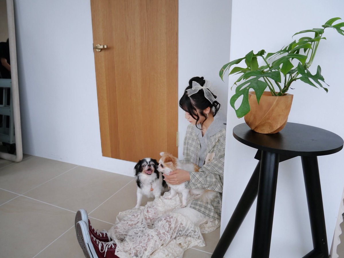 佐藤綺星 tweet media