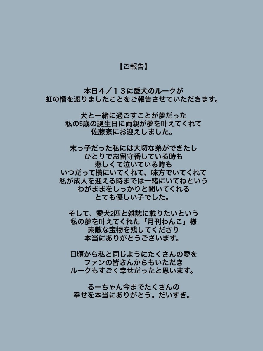 佐藤綺星 tweet media