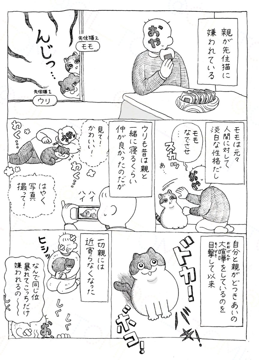 オイル富🪤 tweet media