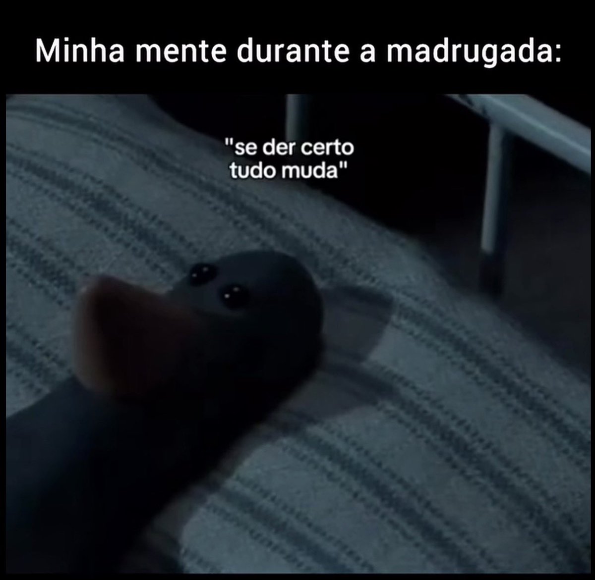 𝙱𝚎𝚛𝚗𝚊𝚛𝚍 𝙱𝚎𝚣𝚘𝚜 𝙼𝚞𝚜𝚔 💰 tweet media