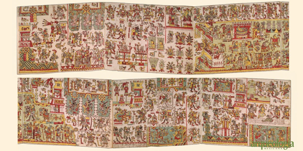 TheAranaraResearcher tweet media