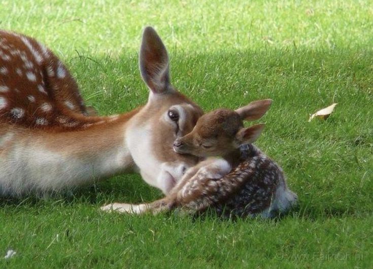 lu ⊙⊝⊜ tweet media