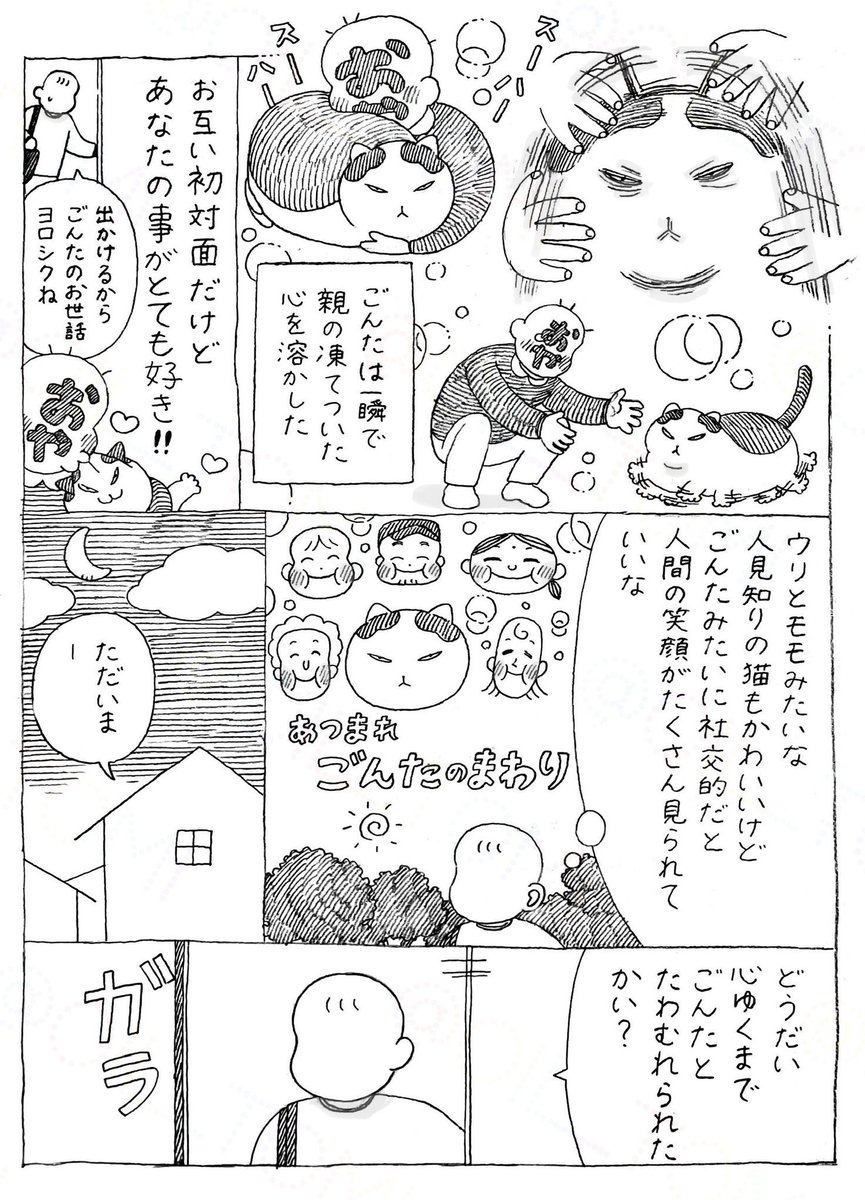オイル富🪤 tweet media