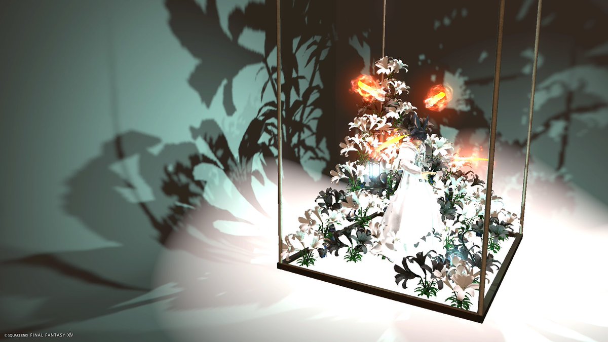 𝔇𝔢𝔩 𝔭 tweet media