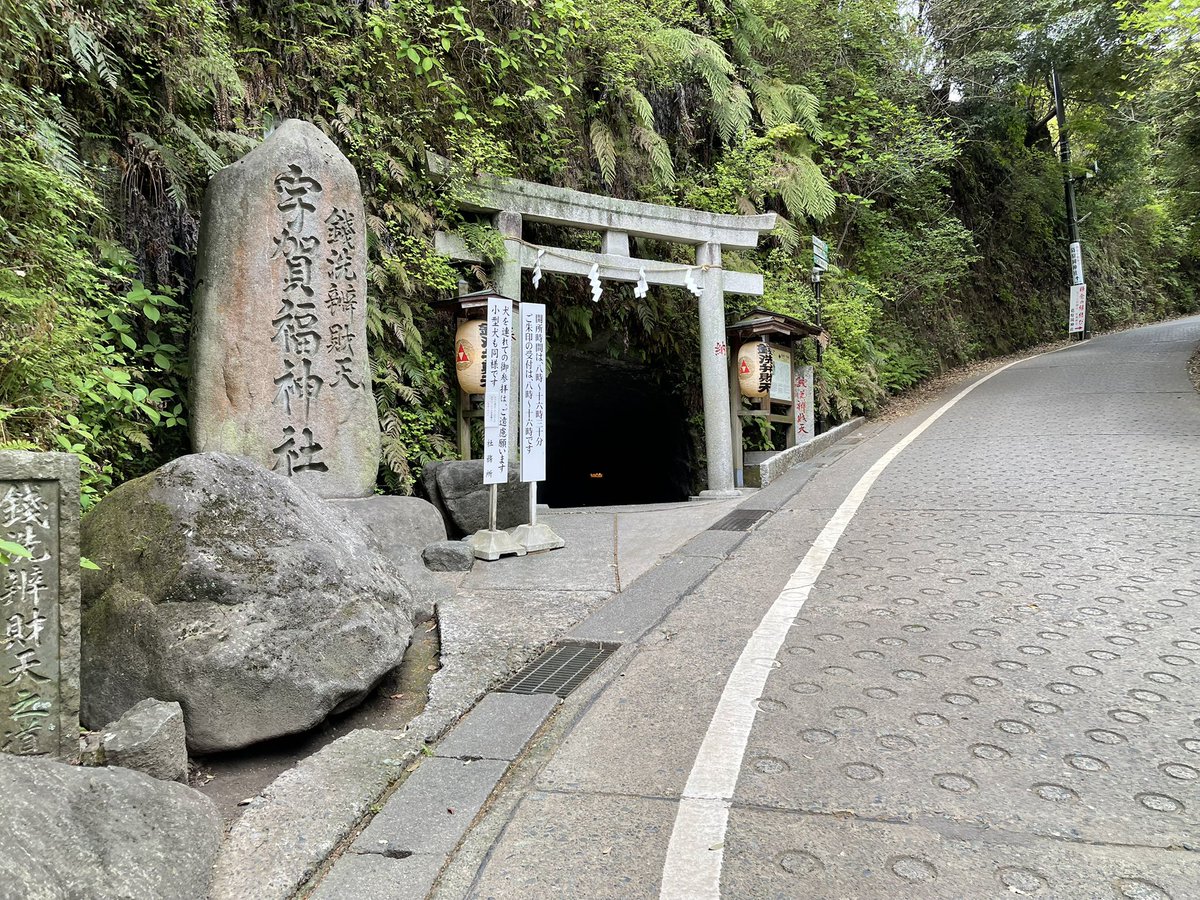 おかぴー🌩️ tweet media