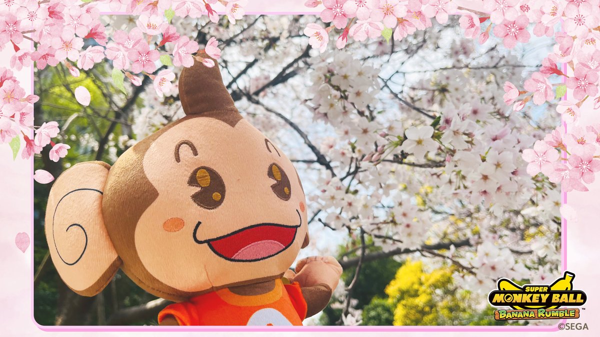 今年も桜が満開🌸
おサルたちもお花見してきたよ🍡
春の風に吹かれてごきげん♪
こんな日はみんなでワイワイ遊びたいね！
#スーパーモンキーボール #バナナランブル