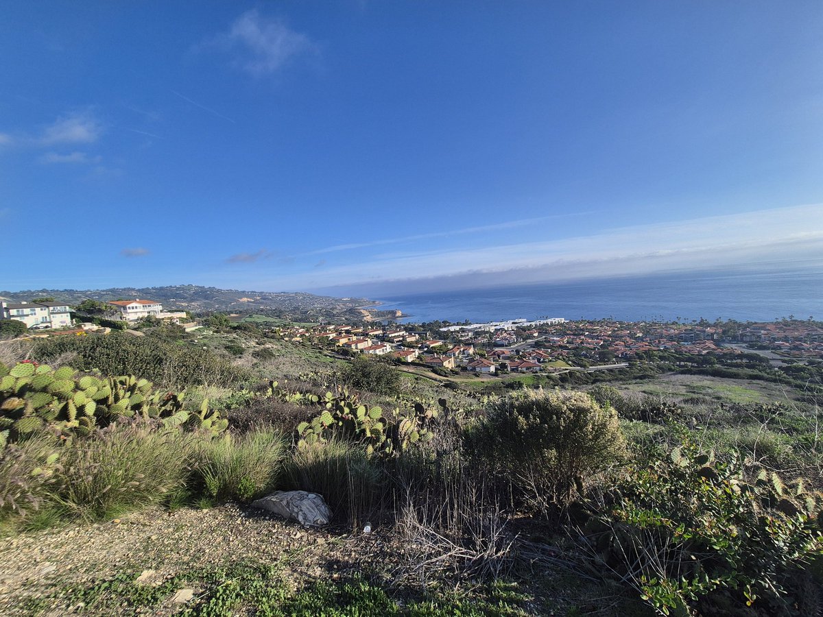 화성인레오 tweet media