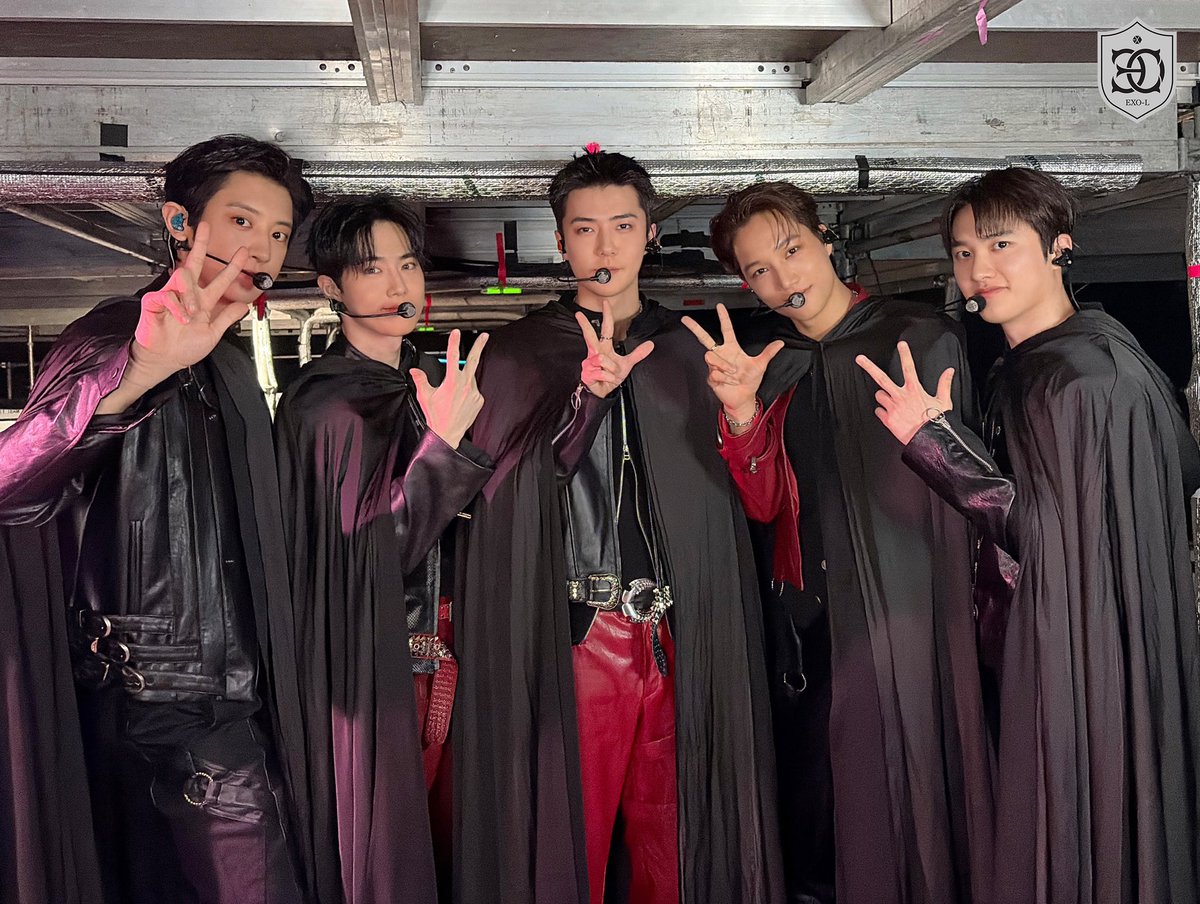 돇  영공 tweet media