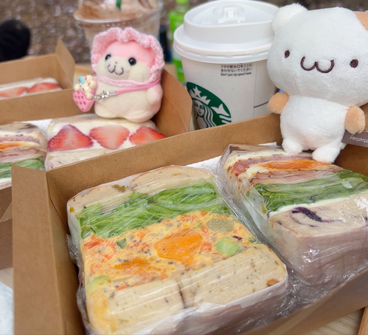 surimi_cute's tweet photo. きのう   あるじの おでかけ ついていった 🌿🌸 https://t.co/Gjle6MYpQ9