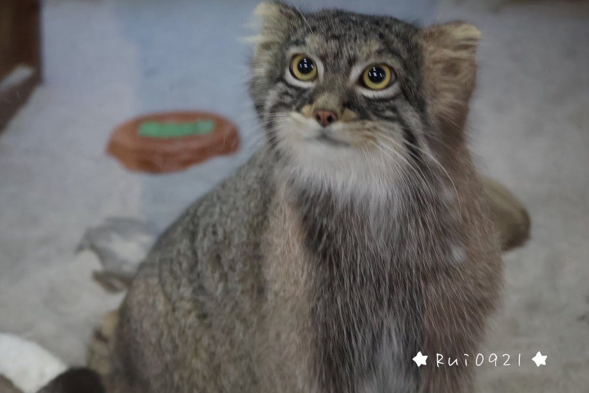 🥁 Rui 0921🥁 tweet media