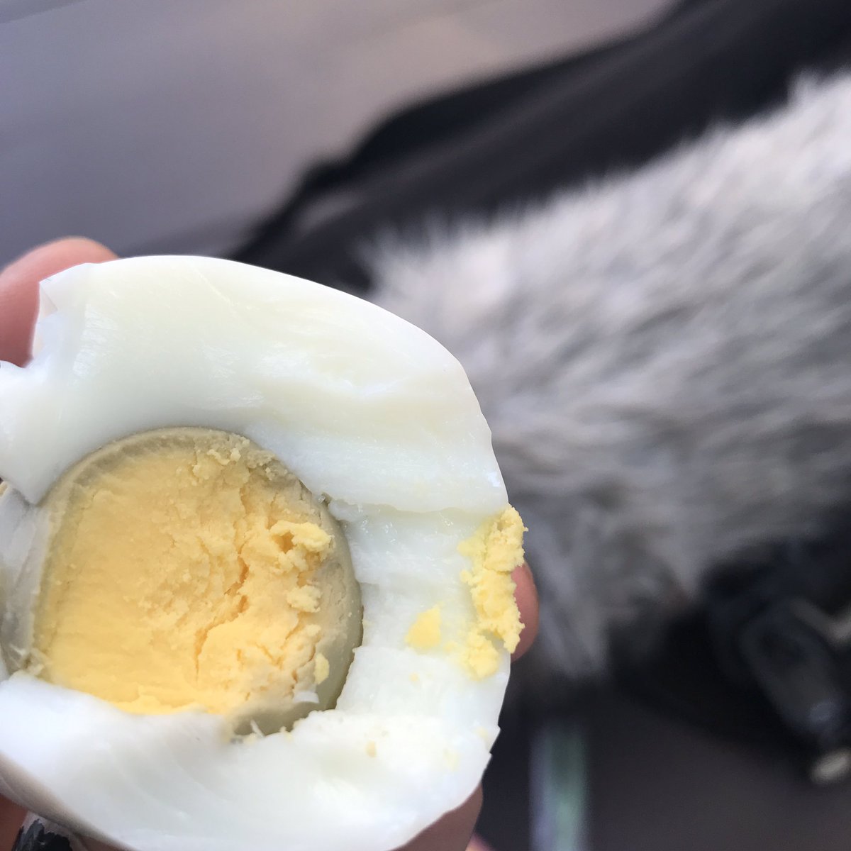 ยืดอกพกบ้อง tweet media