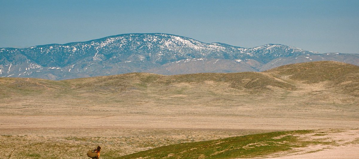 screencaps tweet media