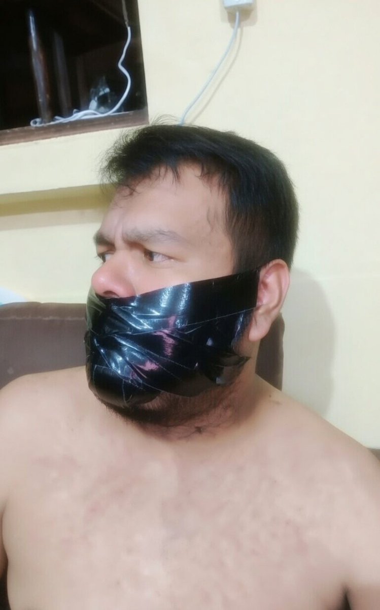 Alfredo González 🐻😏🎮🏳️🌈 tweet media