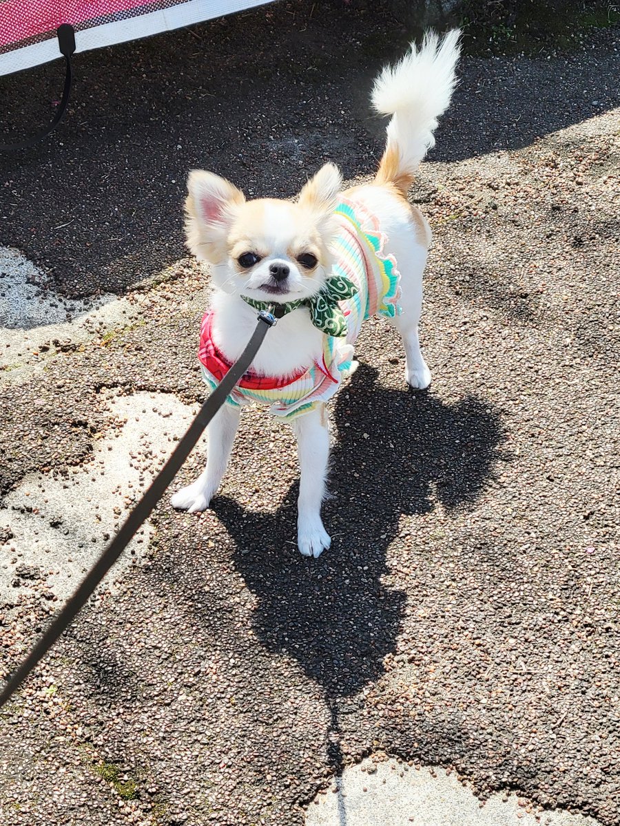 Hayden*リュジク❖Garuda tweet media