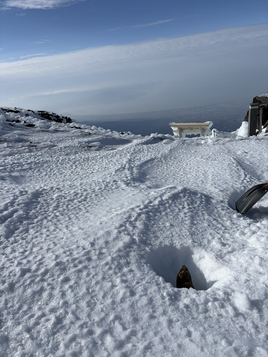 おしょう tweet media