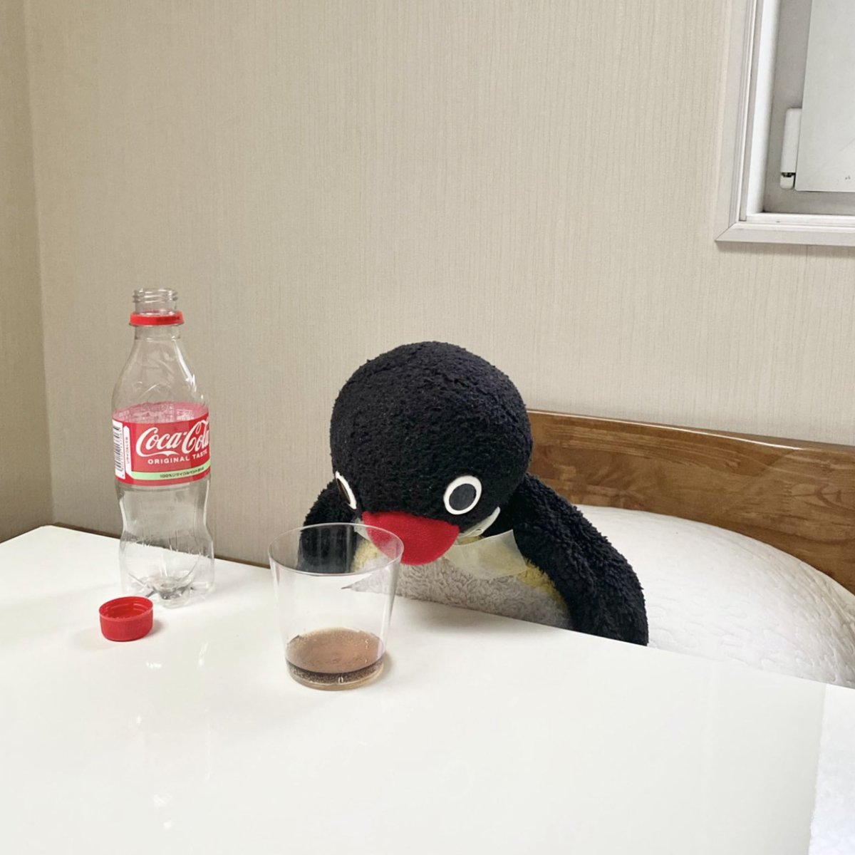 pingmyping tweet media