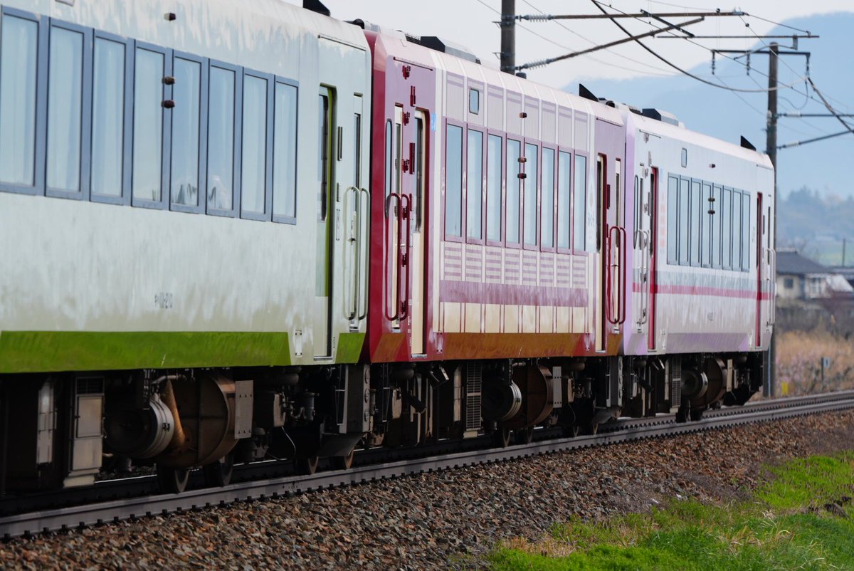 焦点距離の魔術師@記録と記憶/SONY機(α9)とCanon機(R7) tweet media