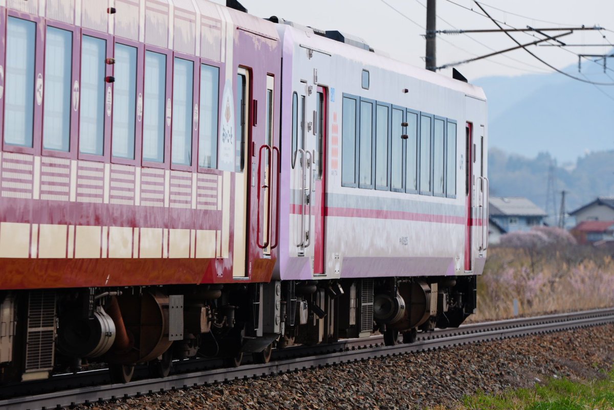 焦点距離の魔術師@記録と記憶/SONY機(α9)とCanon機(R7) tweet media