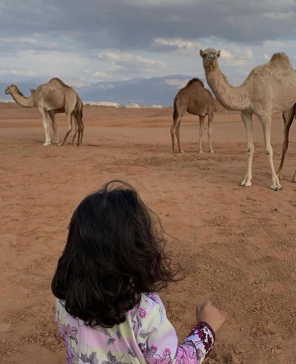 ˚♡˚ 🦌 ˚♡˚ tweet media