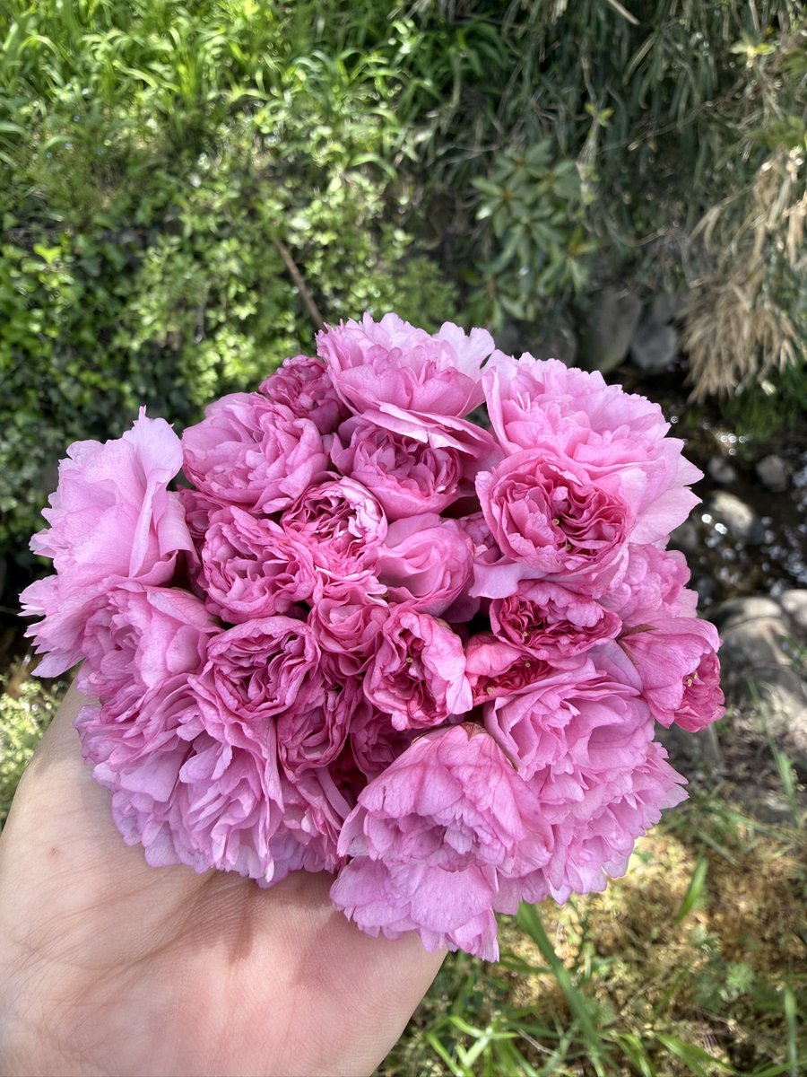 えくみ tweet media