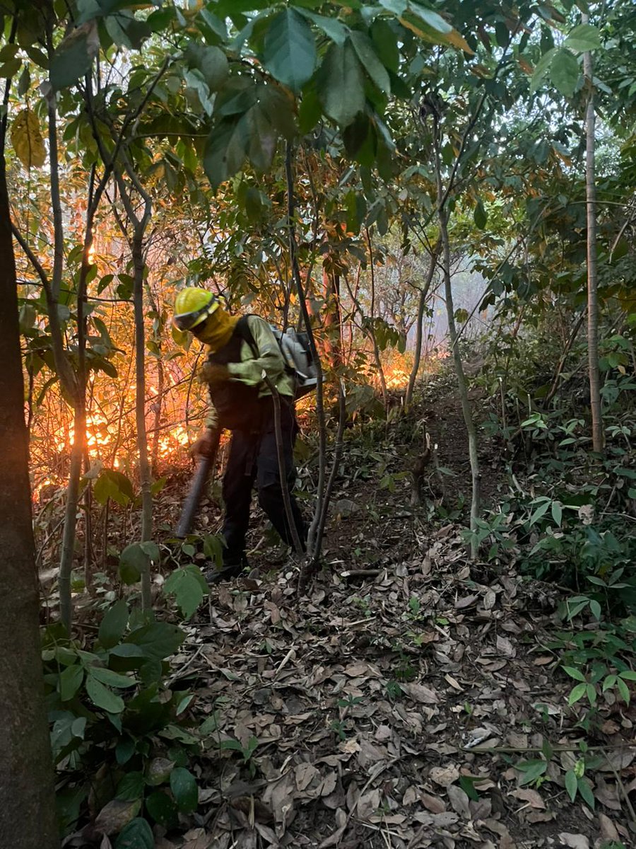 ConredGuatemala's tweet image. #SantaRosa Reportan incendio en Lomas Champito, Chiquimulilla, Santa Rosa. La Brigada de Respuesta Inmediata (BRI) y comunitarios realizan acciones en el área para sofocar el siniestro.

Fotografías: Sistema CONRED.