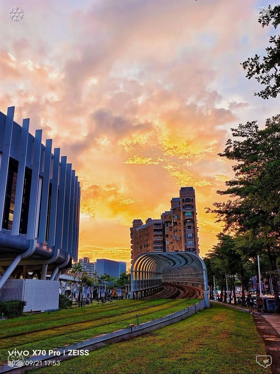 At night, my greatest craving is for Tom Yum soup, as it offers a delightful sweetness without feeling overly rich.