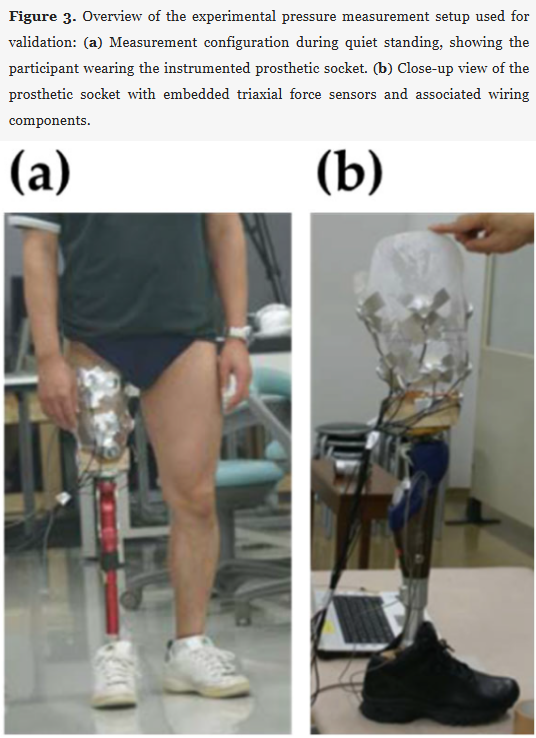 🦿 New in Prosthesis: "A Proof-of-Concept Framework Integrating ML-Based MRI Segmentation with FEM for Transfemoral Residual Limb Modelling"

by Sayama et al.

🔓 #Open_Access, free to read at: brnw.ch/21x1xlU

#Prosthetics #ProstheticSocket #BiomedicalEngineering