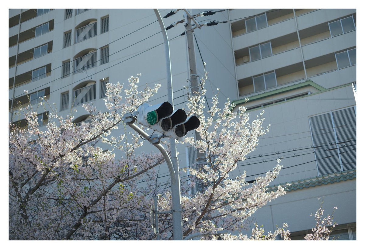 伊崎 (@utk_q) on Twitter photo 