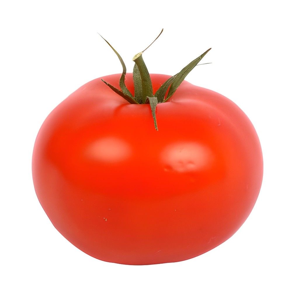Daily object tweet media