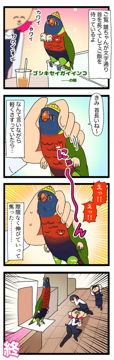 えるぽぴ ▶︎4/18,19 鳥フェス大宮、名古屋、金沢 tweet media