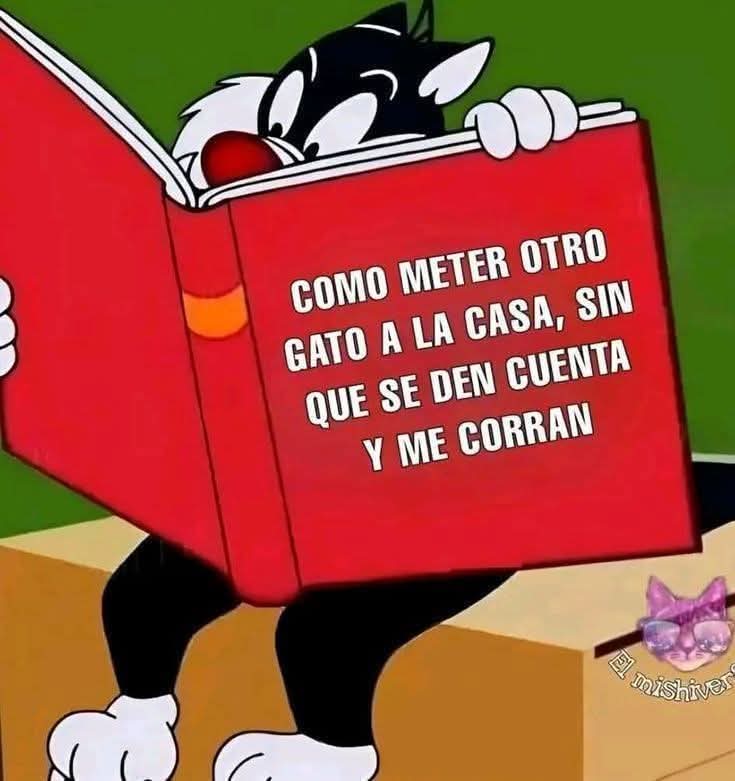 ManuSaenzVolvio's tweet photo. 🤣🤣🤣
❤️ https://t.co/tKqfcecBhj