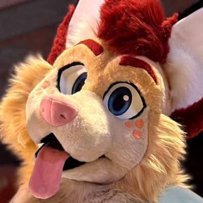 Zyly the Fox! 🧡💛 tweet media