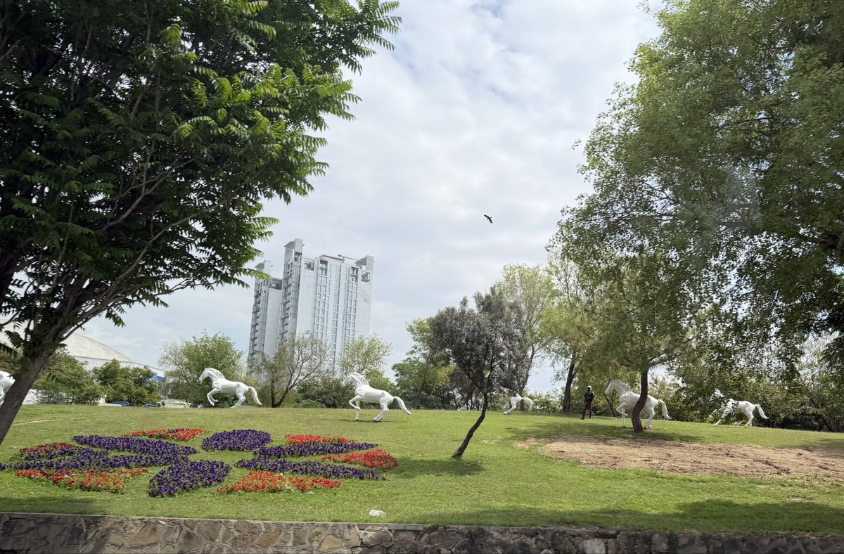 Nadia Bilbassy Charters ناديا البلبيسي tweet media