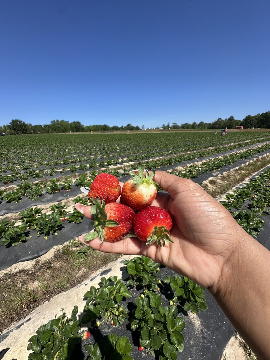 Jayah W. tweet media