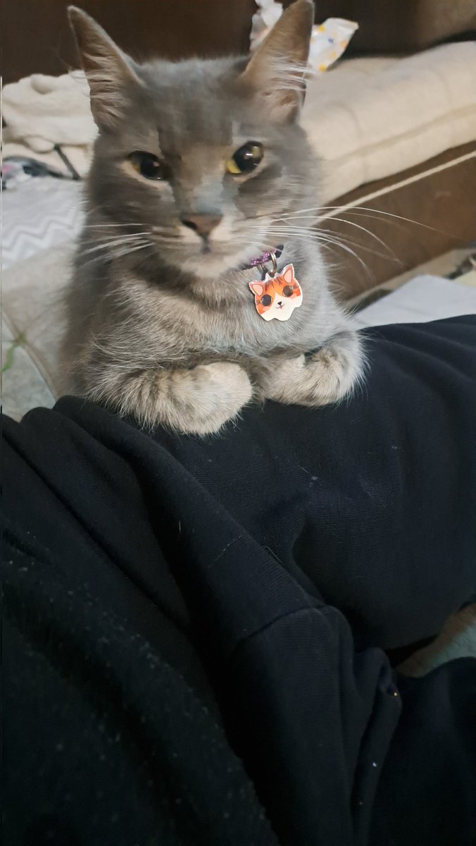 Santy  ✨️ tweet media