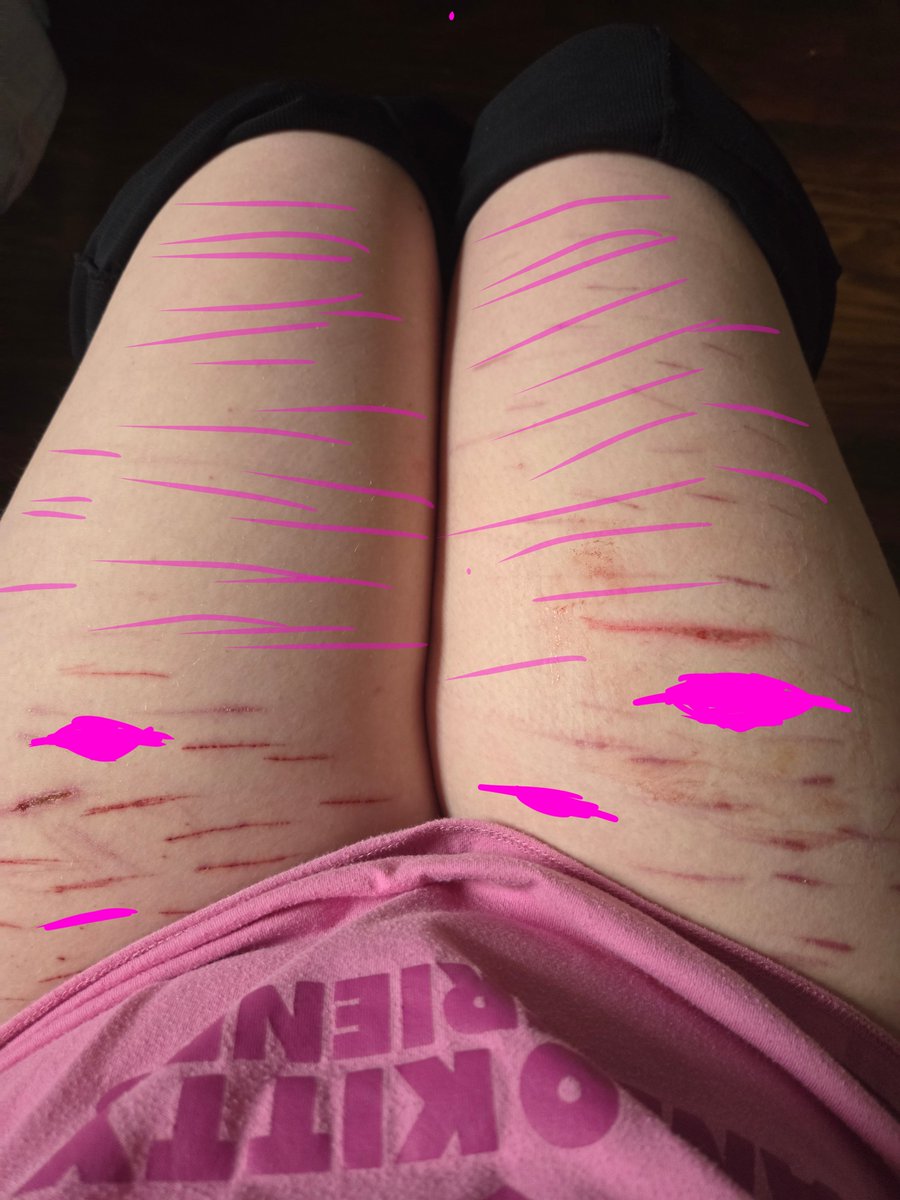 ₍^. .^₎Ⳋ | meep ⊱ ۫ ׅ #shtwt ✧ ⊹ tweet media