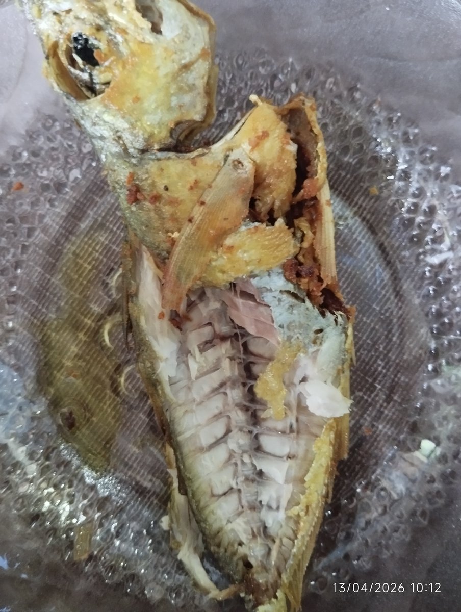 anakpulau tweet media