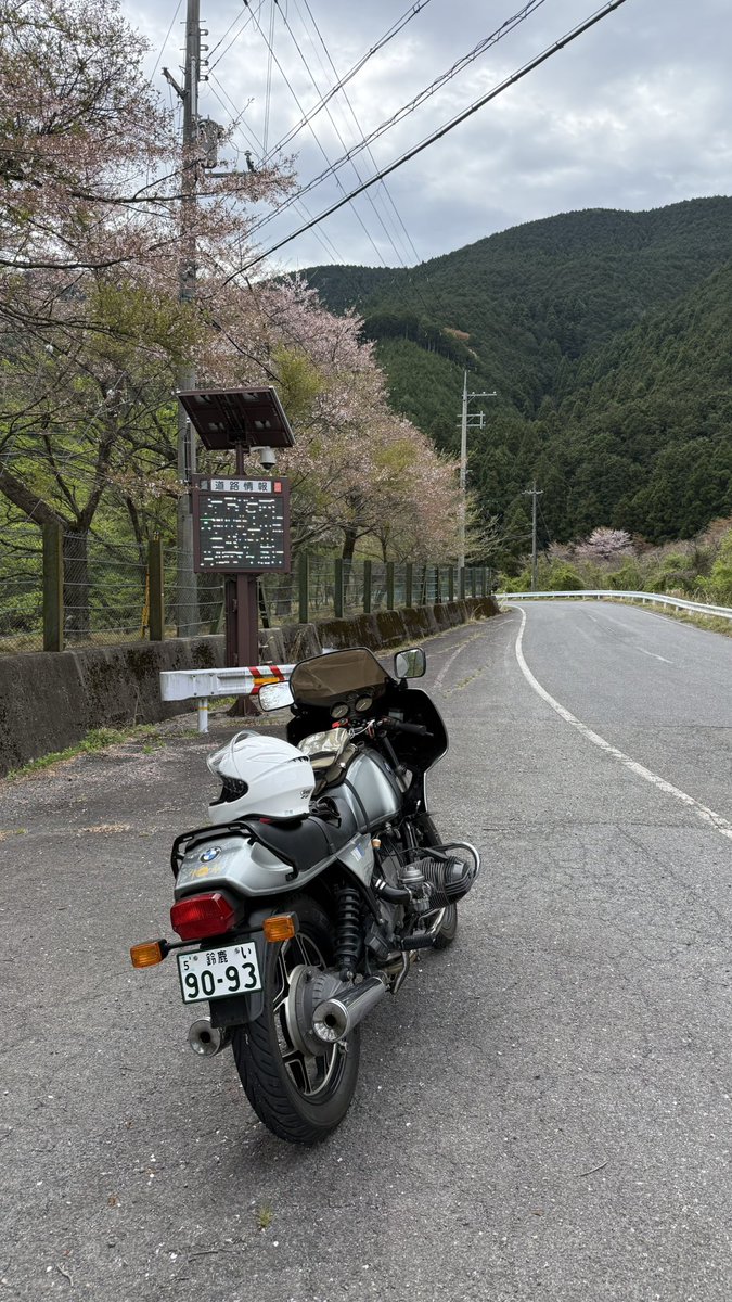 みきぴこ tweet media