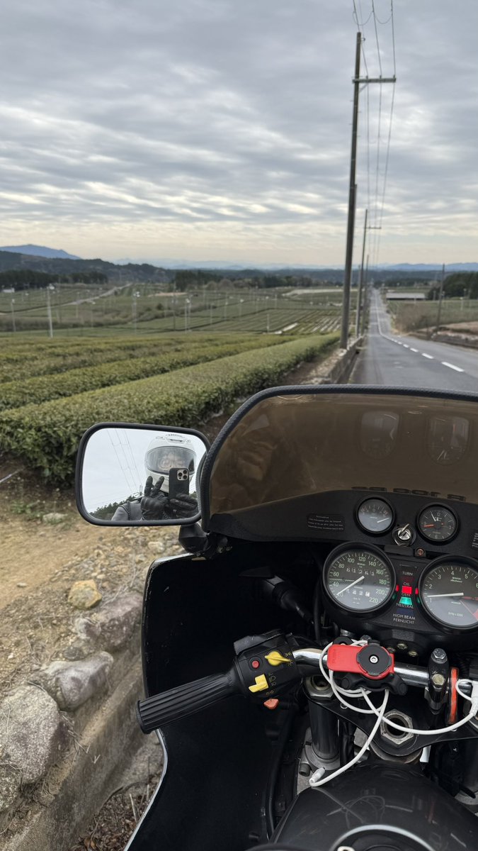 みきぴこ tweet media