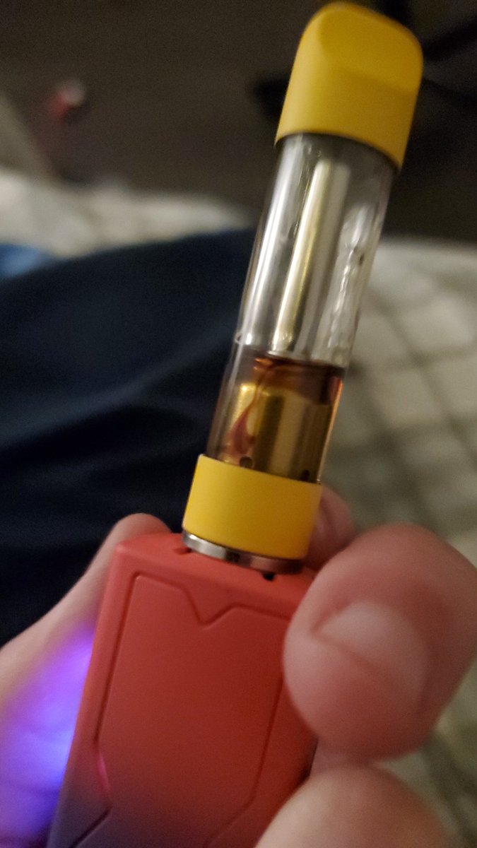 adult human cat tweet media