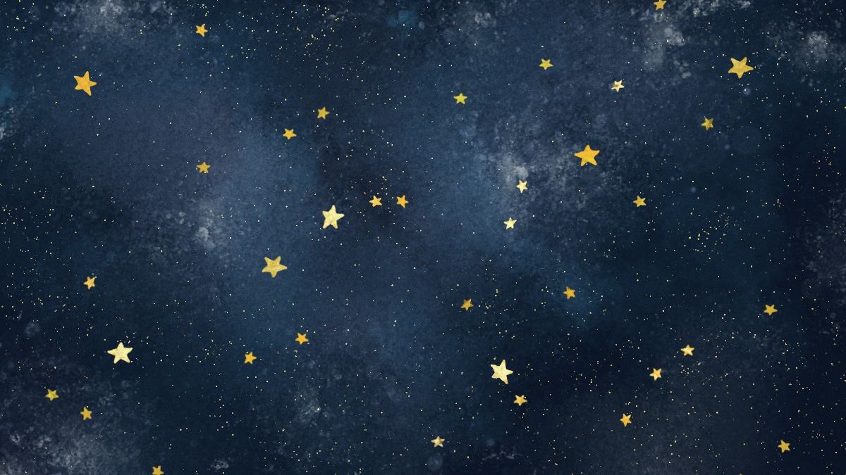 Stargirl tweet media