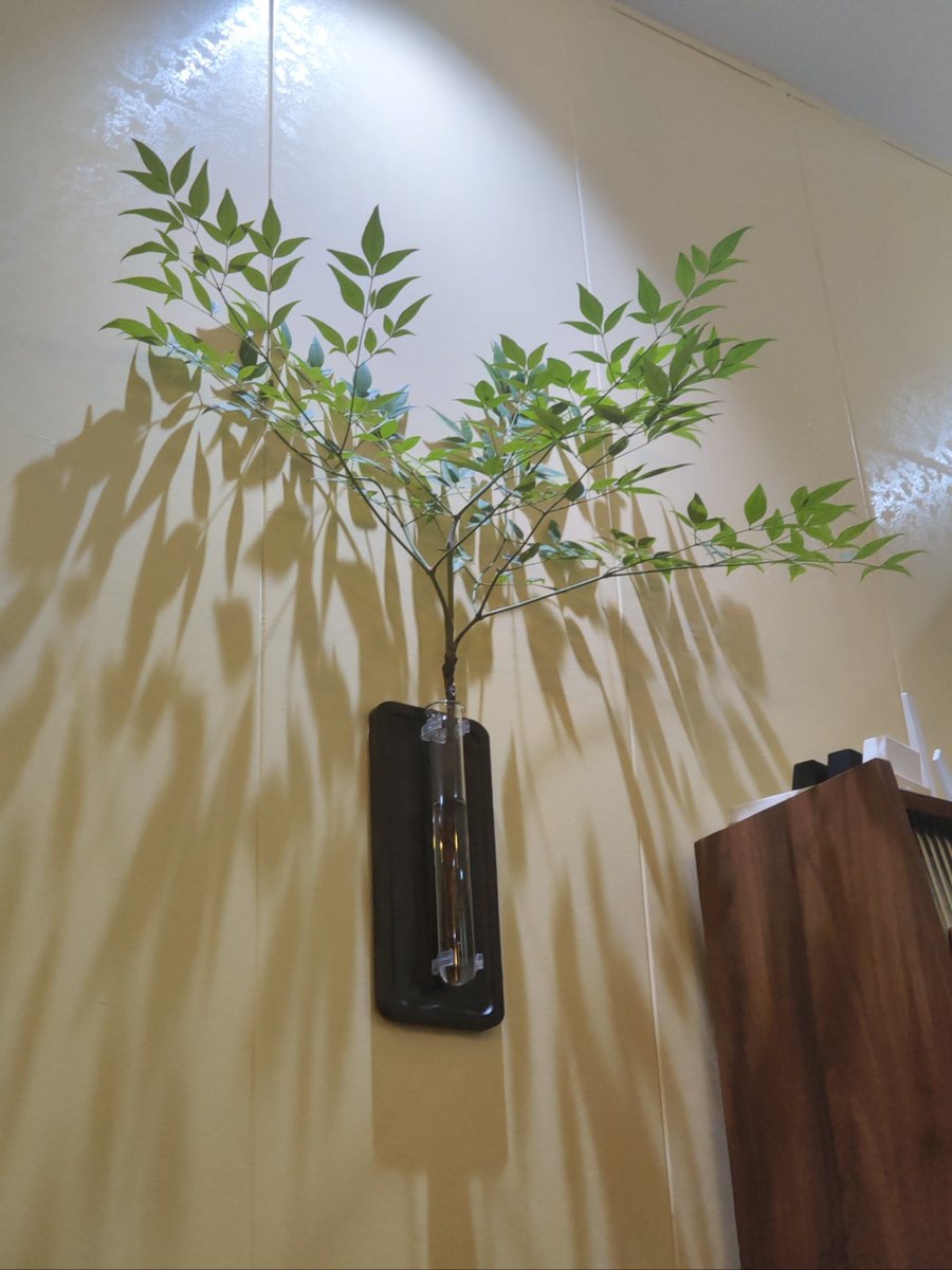 ปริมประภา ภูมิภาค tweet media